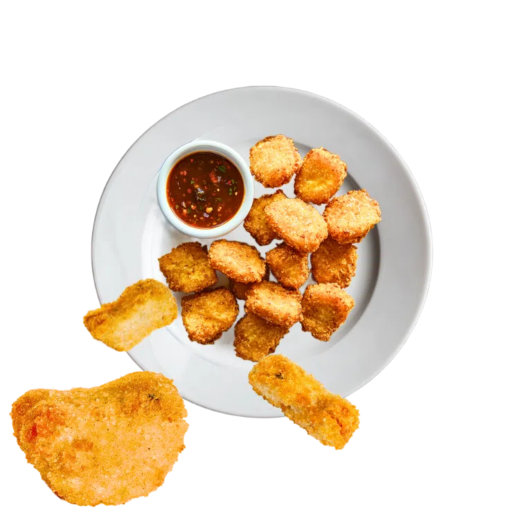 Présention Nuggets