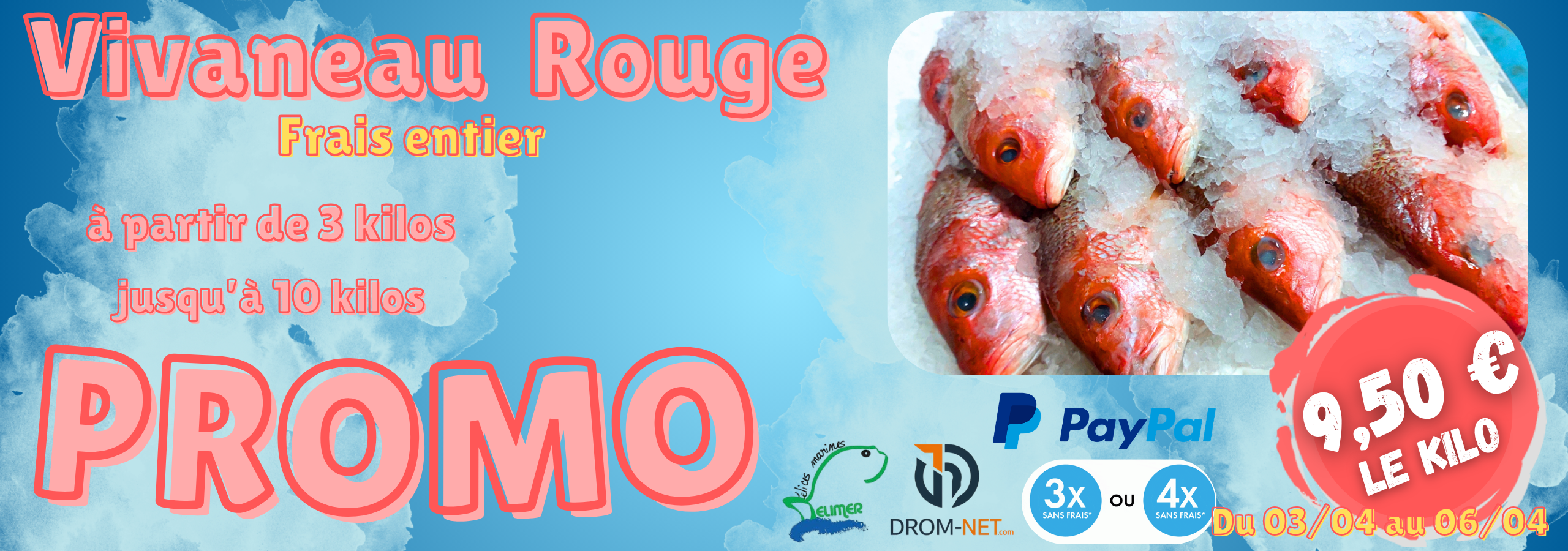 Promo vivaneau rouge pour la Guyane